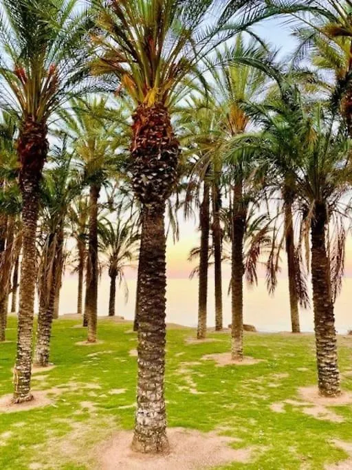 Ventana Al Mar Pool And Beach Access With Elevator Torremolinos 0*,  Spain